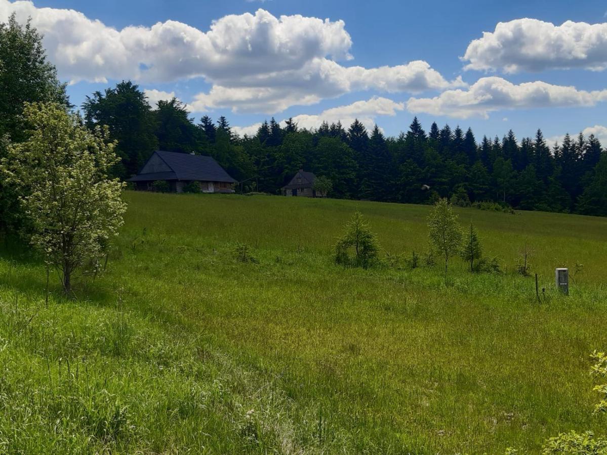 Apartamento Kuznia Nowica Uscie Gorlickie Exterior foto